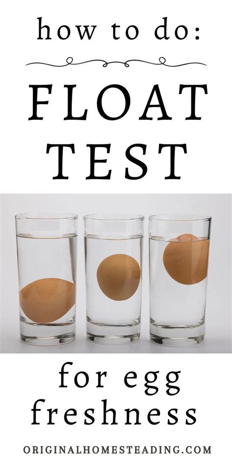 hard boiled egg float test|3 digit egg float test.